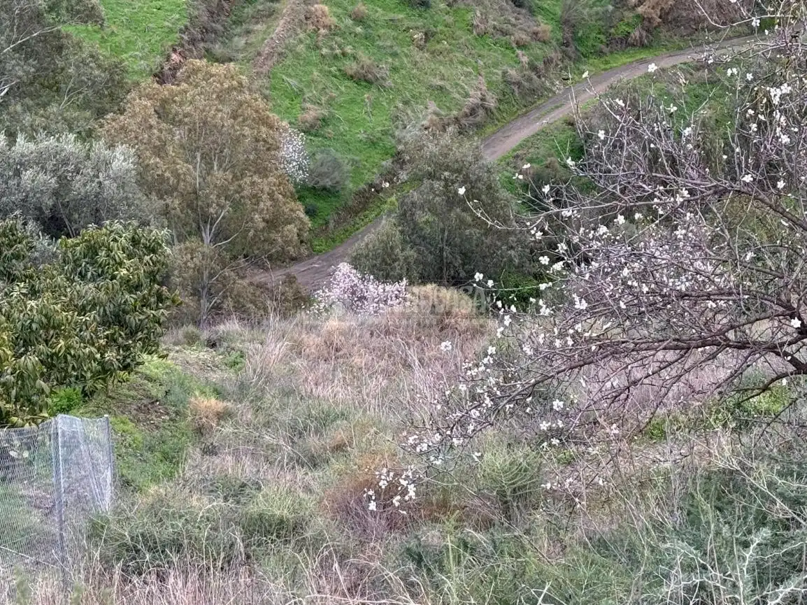 Terreny rústic en venda a Vélez-Málaga ciudad, imagen 17