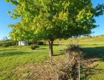 Terreni e lotti in vendita a Garrafe de Torío, imagen 9