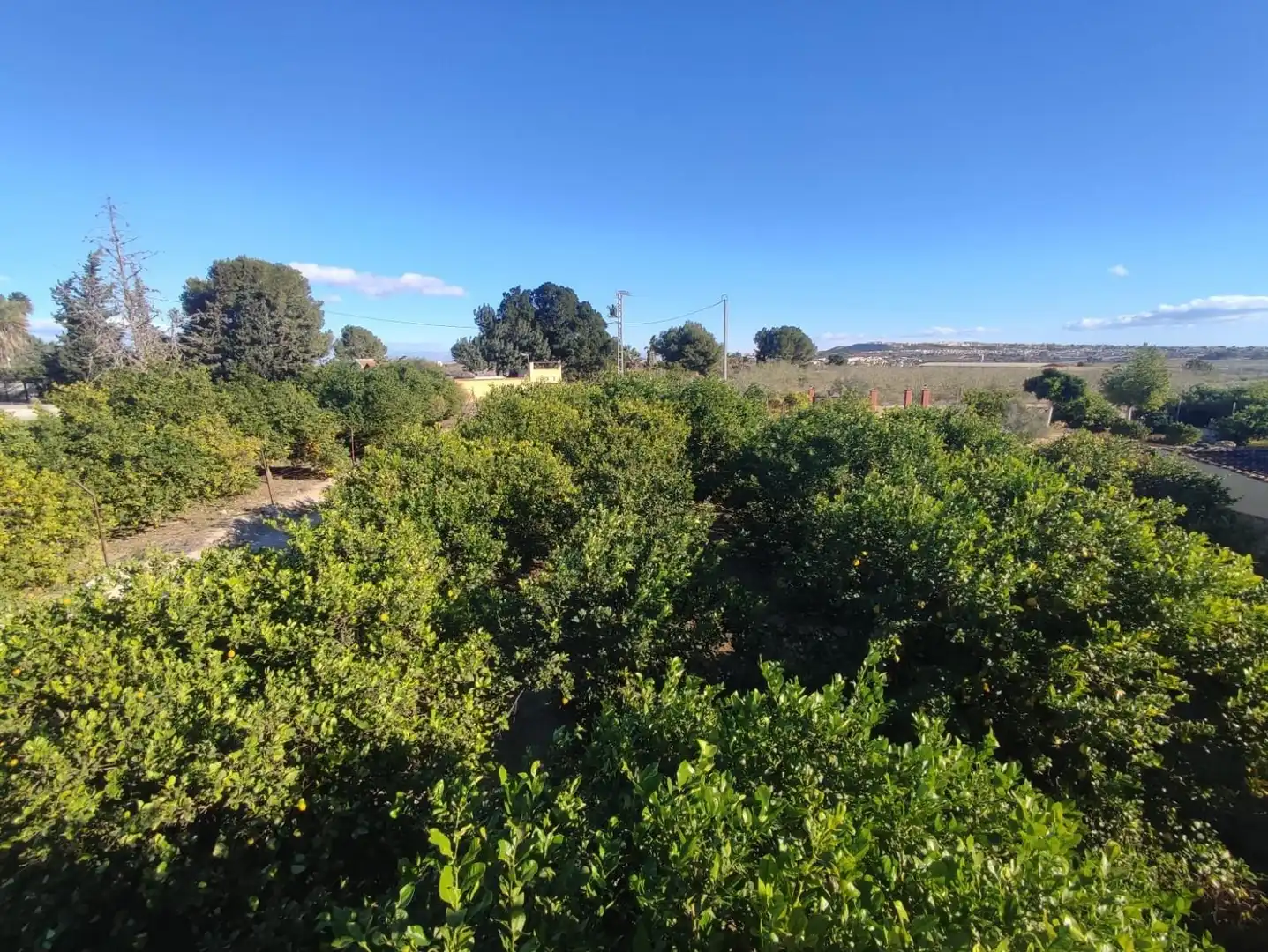 Villa avec jardin à vendre à hacienda espinosa, imagen 37