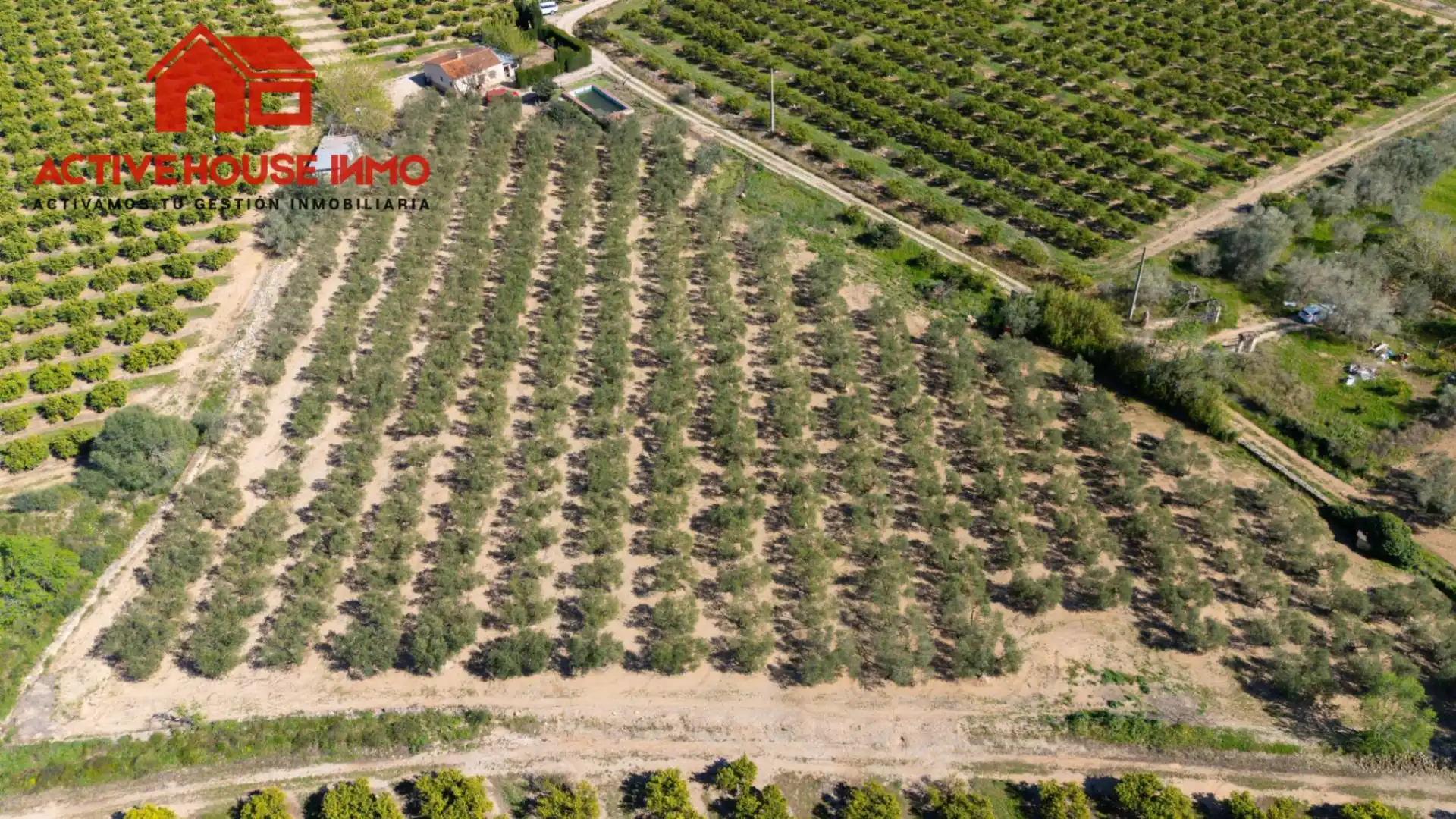 Country homes for rent in Partida Prades, Santa Bàrbara