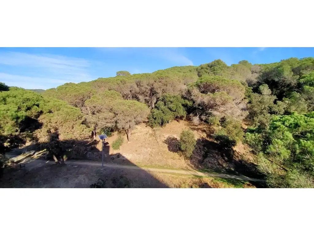Flat for sale in Passatge Can Ribalaigua, El Molí - El Rieral