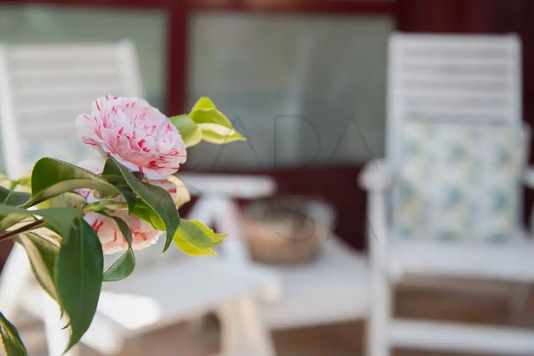 Terraza de Casa o chalet en venta en Villaescusa (Cantabria) con Calefacción, Jardín privado y Terraza
