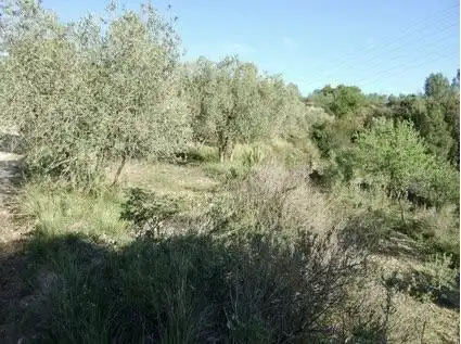 Lands and plots for sale in Lugar Can Segarra, imagen 4