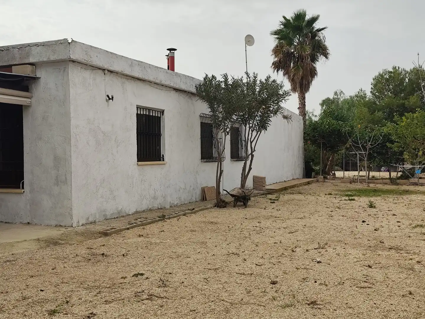 Vista exterior de Casa o xalet en venda en Elche / Elx amb Jardí privat i Moblat