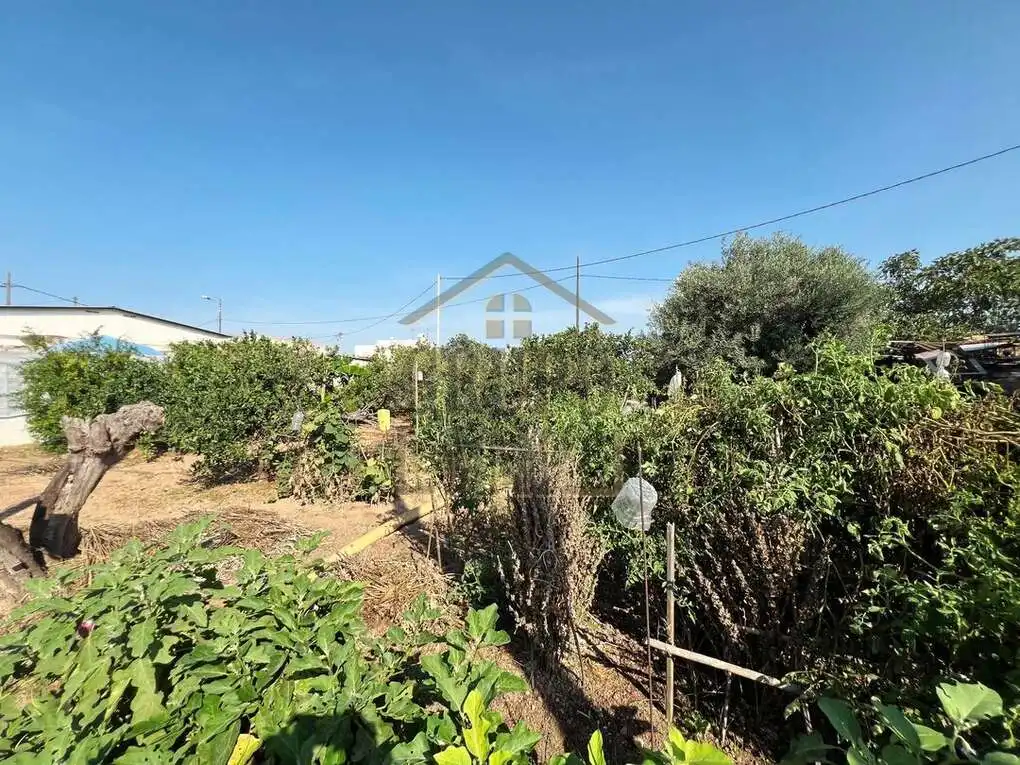 Casa o xalet en venda en Castellón de la Plana / Castelló de la Plana amb Traster