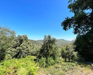 Land for sale in Sant Quirze Safaja