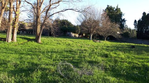 Foto 5 de Finca rústica en venta en Lugar Pena, 31, Valdoviño, A Coruña