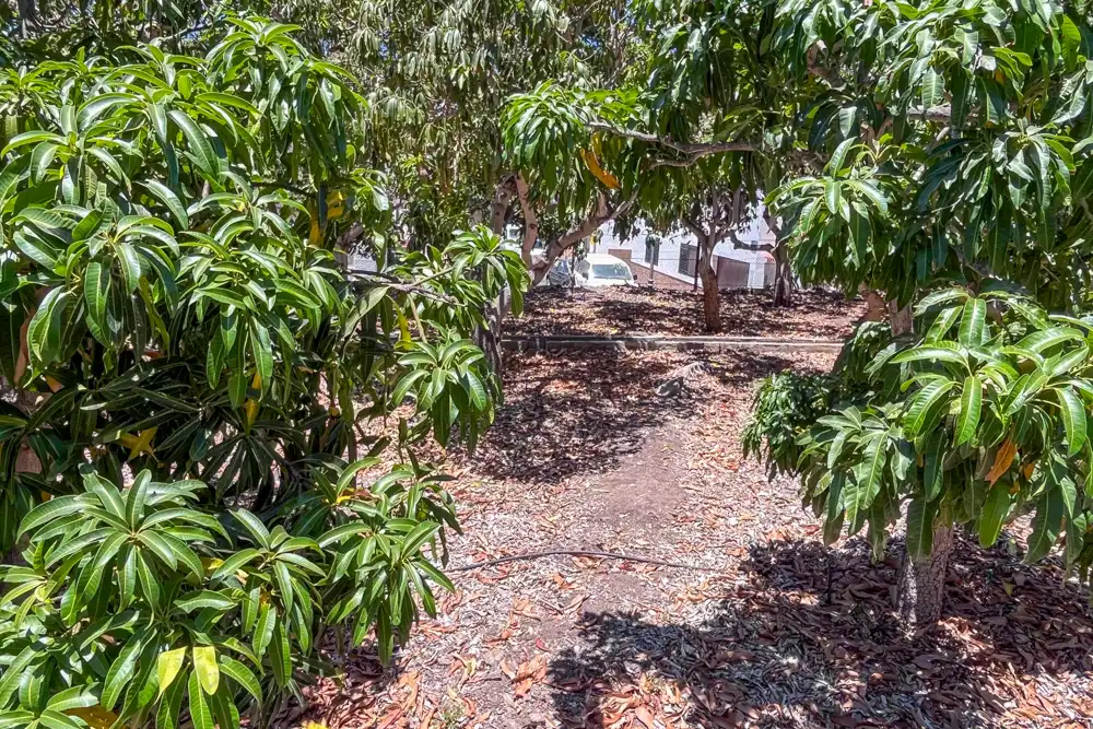 Garden of Residential for sale in Valle Gran Rey, Santa Cruz de Tenerife