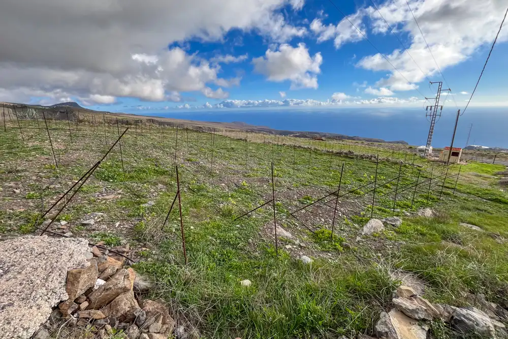 Finca rústica en venda en Vallehermoso