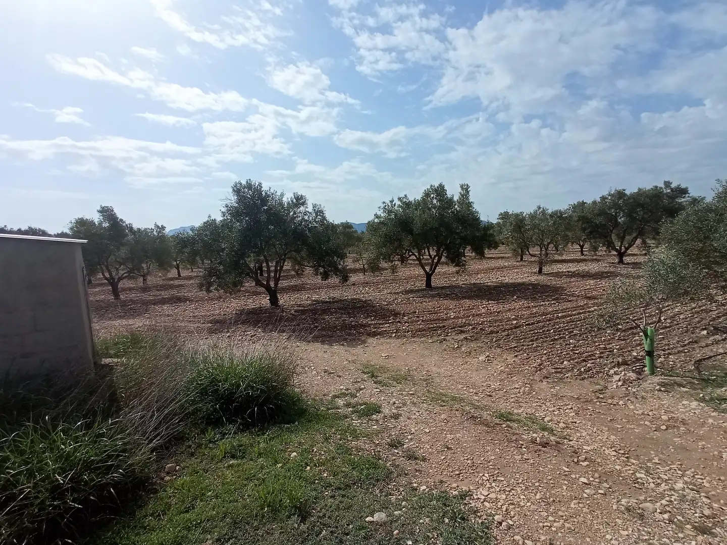 Terreno residenziale in vendita a Salinas, imagen 5