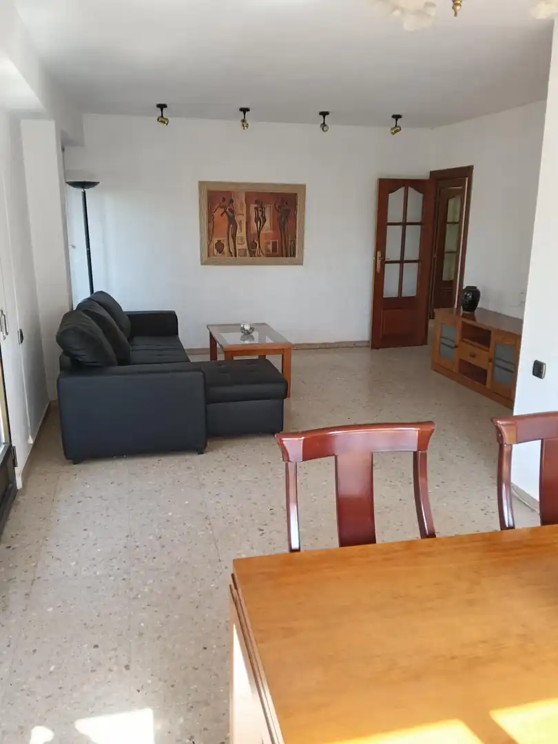 Sala d'estar de Pis en venda en Alicante / Alacant amb Aire condicionat, Terrassa i Moblat