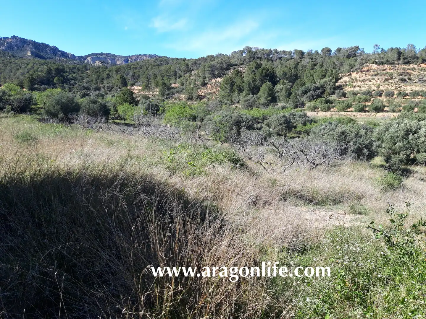 Country homes for sale in El Pinell de Brai