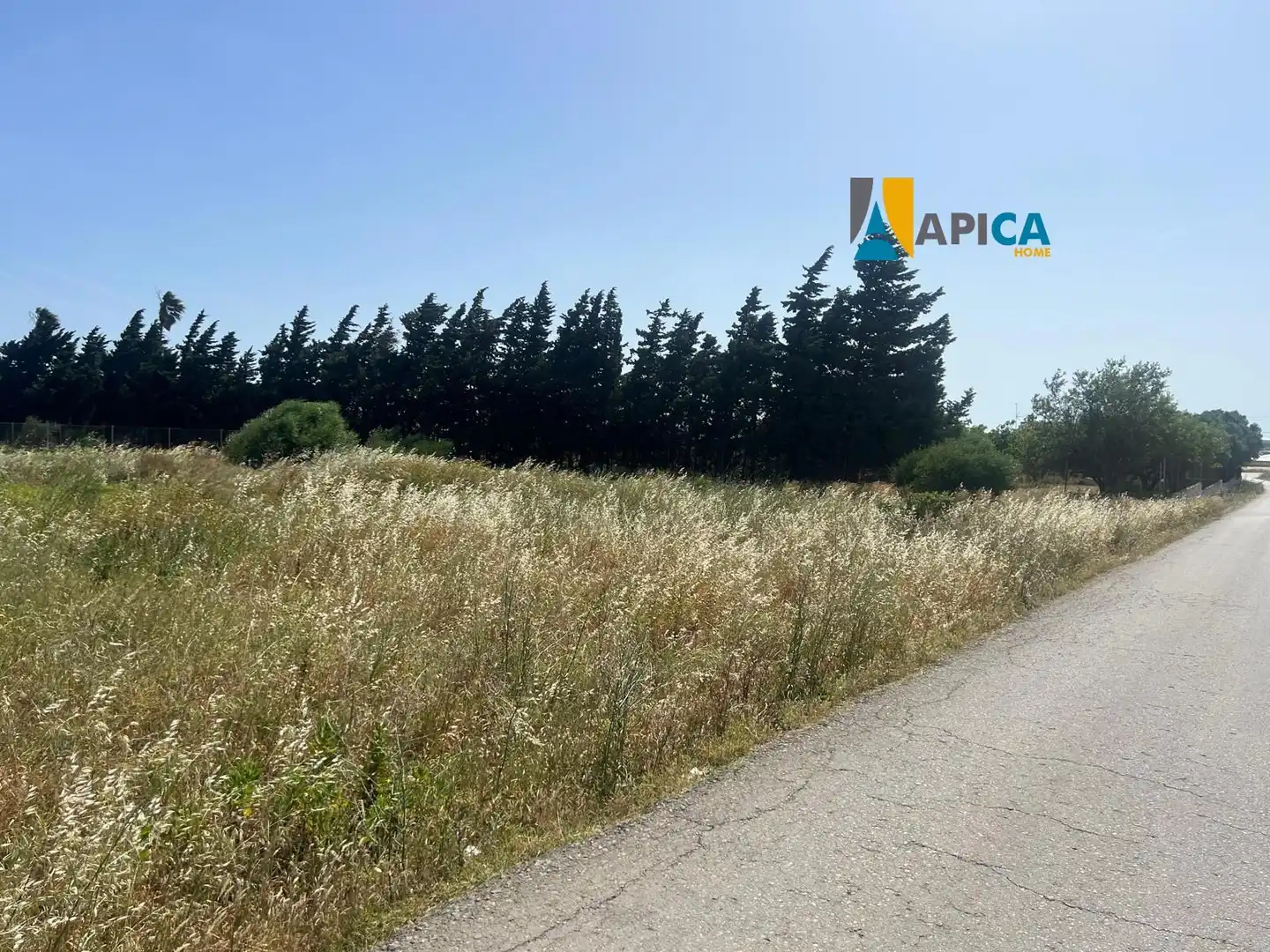Rural land for sale in Barrio Nuevo, imagen 8