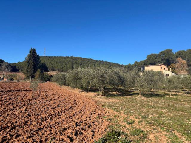 Finca rústica en Venta en Santa Maria de Miralles