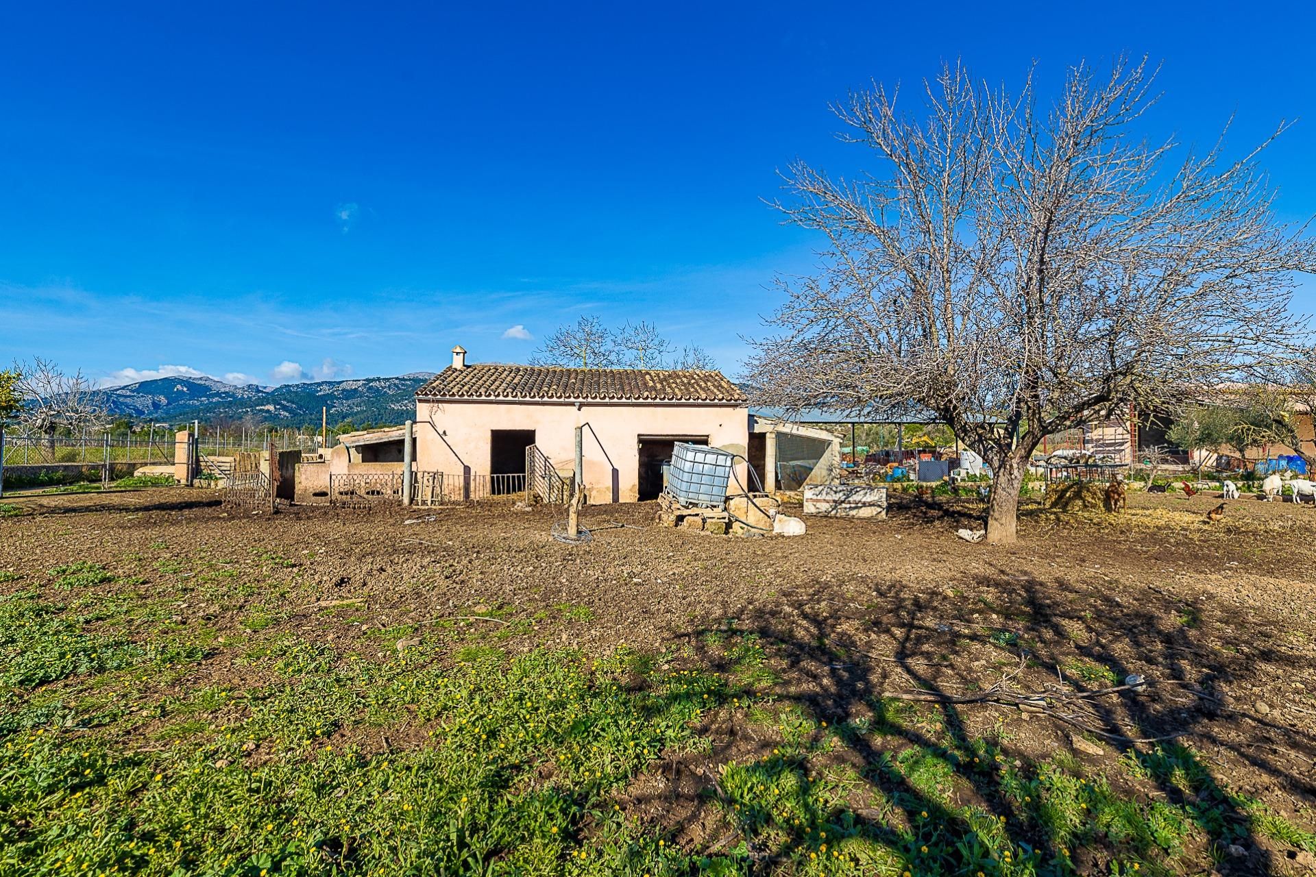 Grundstücke zum verkauf in Selva