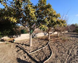 Finca rústica en venda en  Murcia Capital amb Calefacció i Jardí privat