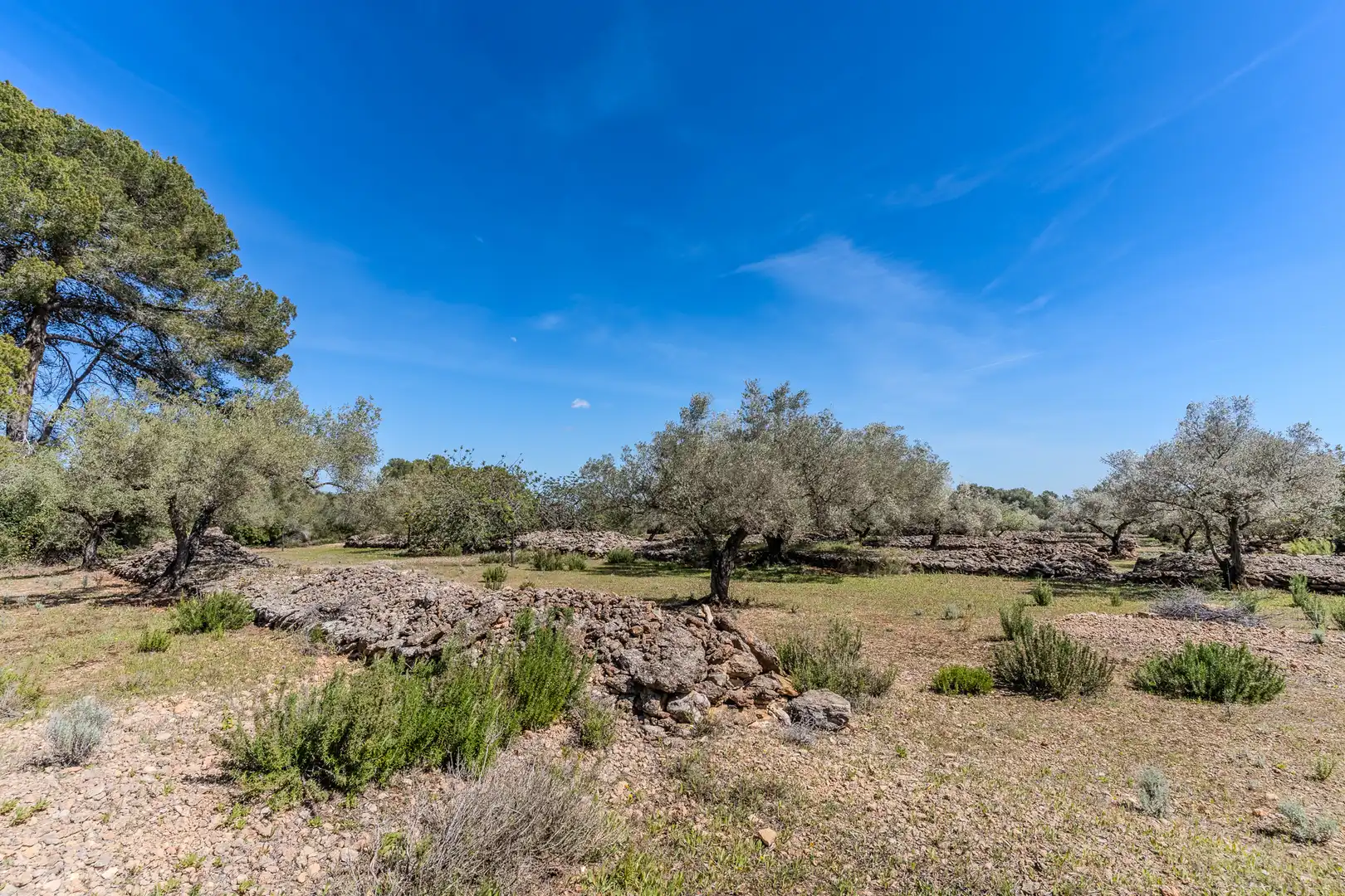 Land for sale in El Perelló