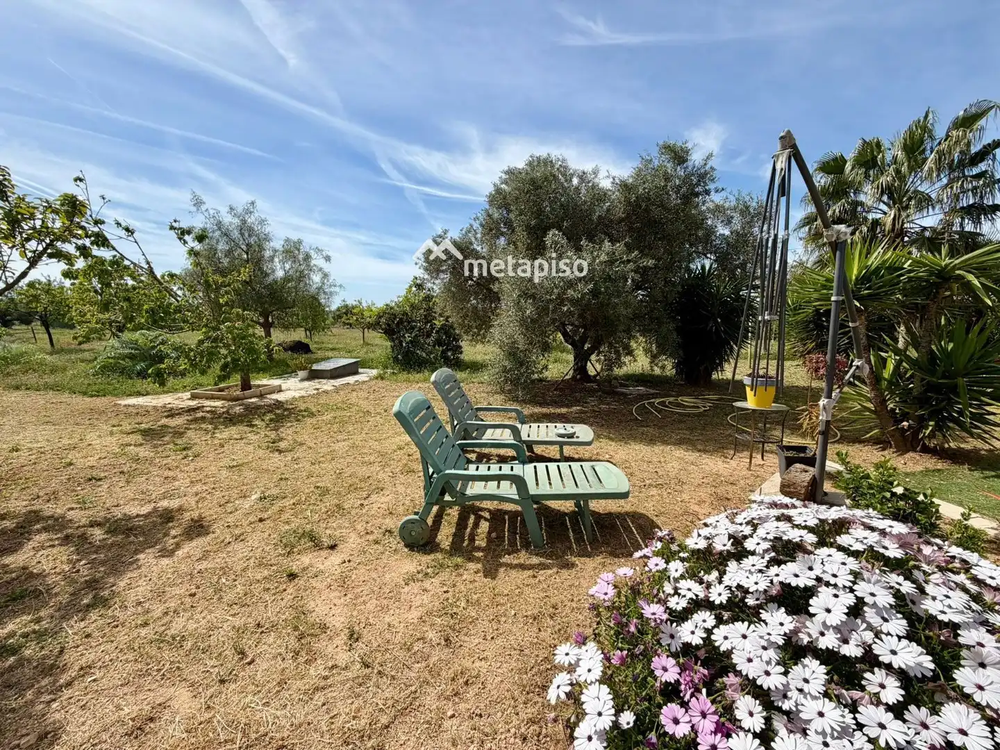 Terreno rustico in vendita a Santa Oliva, imagen 19