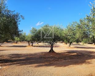 Finca rústica en venda en Rossell