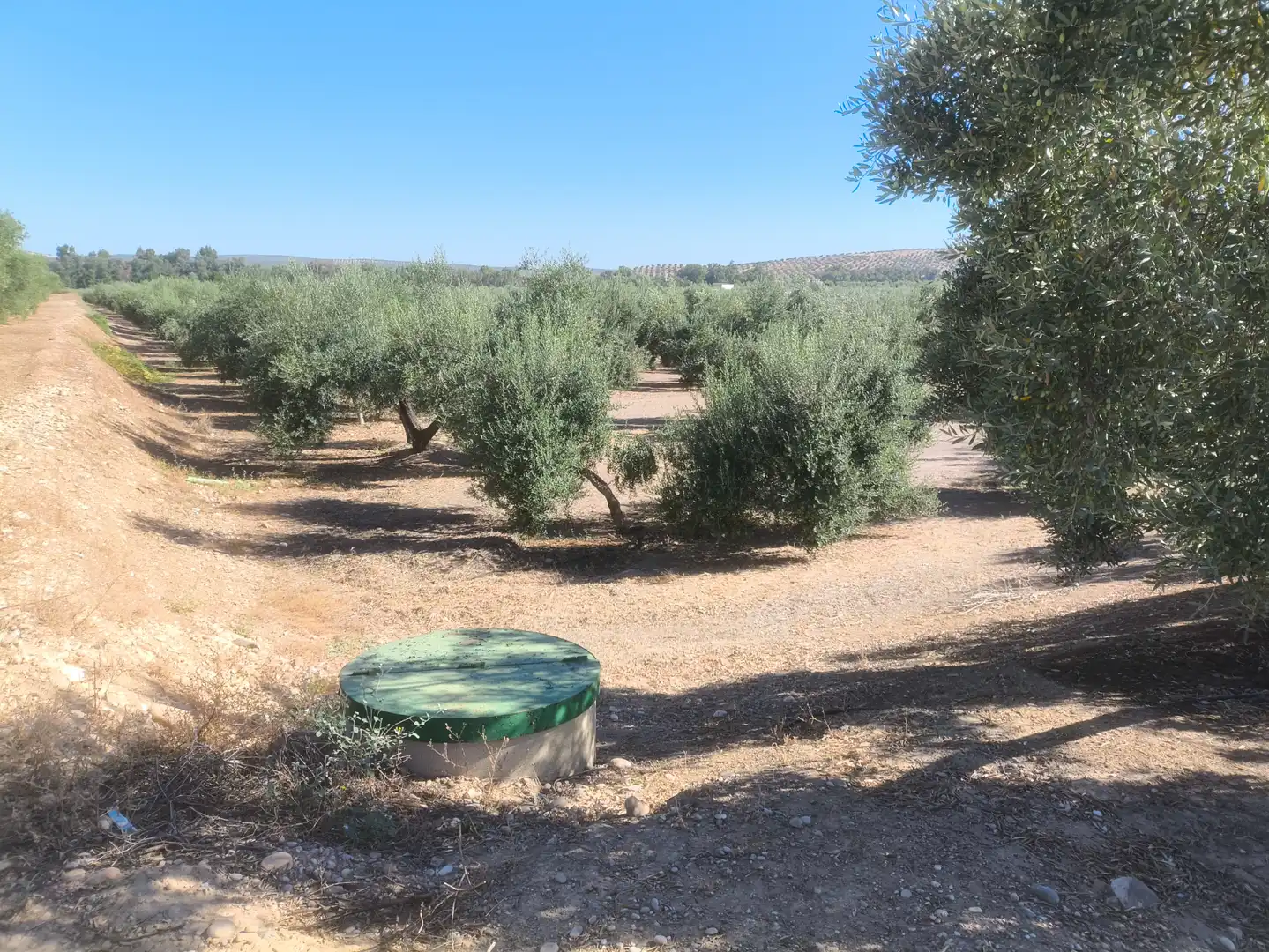 Terreni e lotti in vendita a Mengíbar, imagen 2