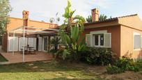 Jardí de Casa o xalet en venda en Marratxí amb Aire condicionat, Terrassa i Piscina