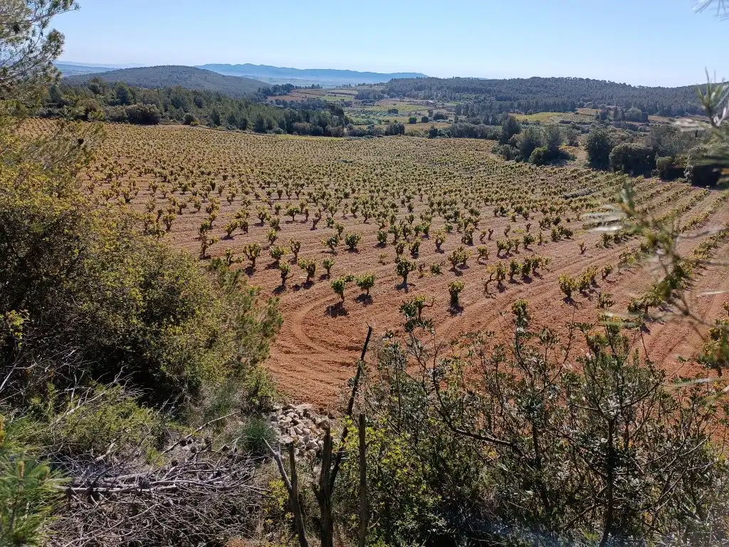 Rustikales Grundstück zum Verkauf in Sant Julià, imagen 12