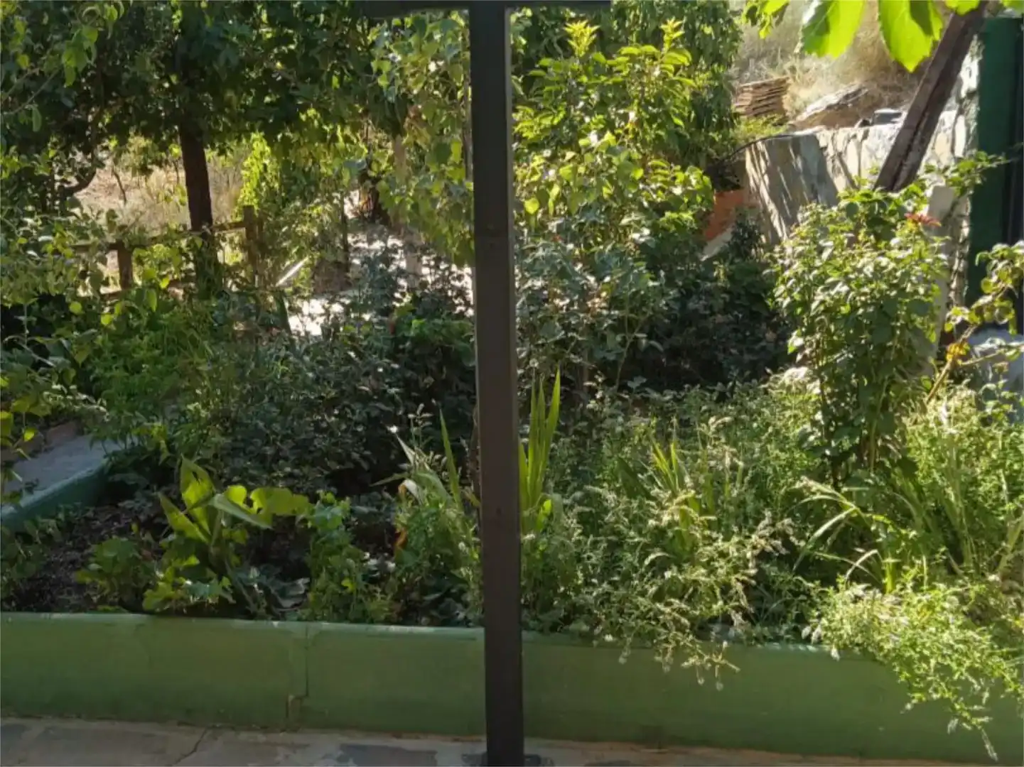 Jardí de Finca rústica en venda en Abrucena