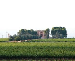 Jardí de Finca rústica en venda en Fontanars dels Alforins amb Jardí privat, Piscina i Balcó