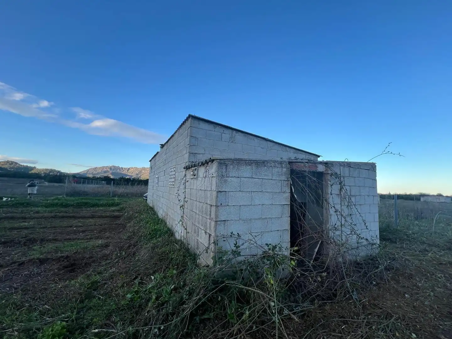 Vista exterior de Finca rústica en venta en Simat de la Valldigna