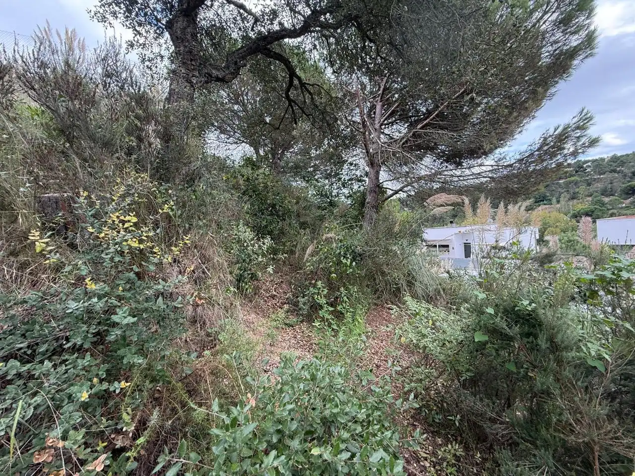 Terrenos y solares en venta en Lloret Residencial - Montlloret, imagen 2