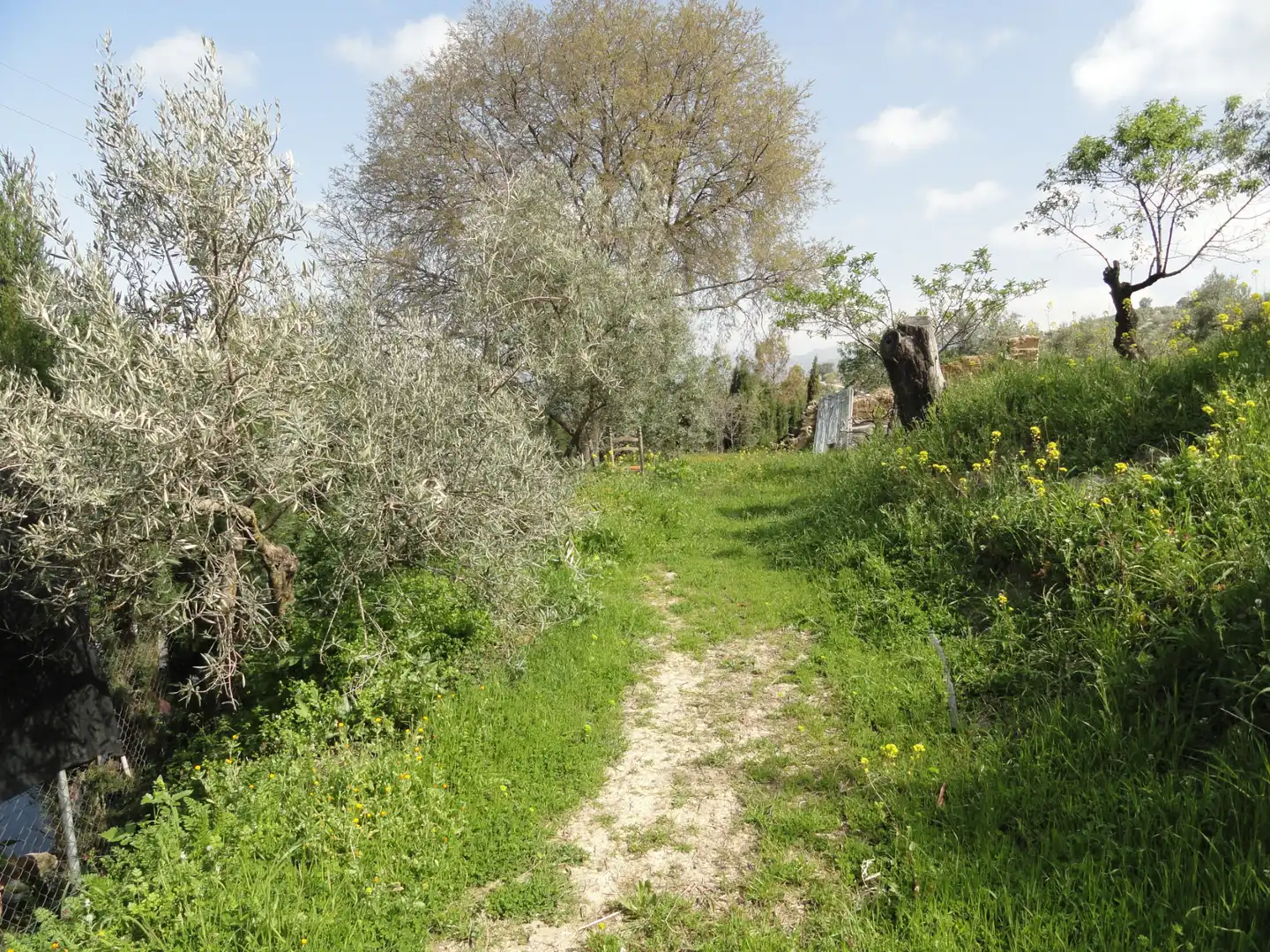 Land for sale in La Iruela