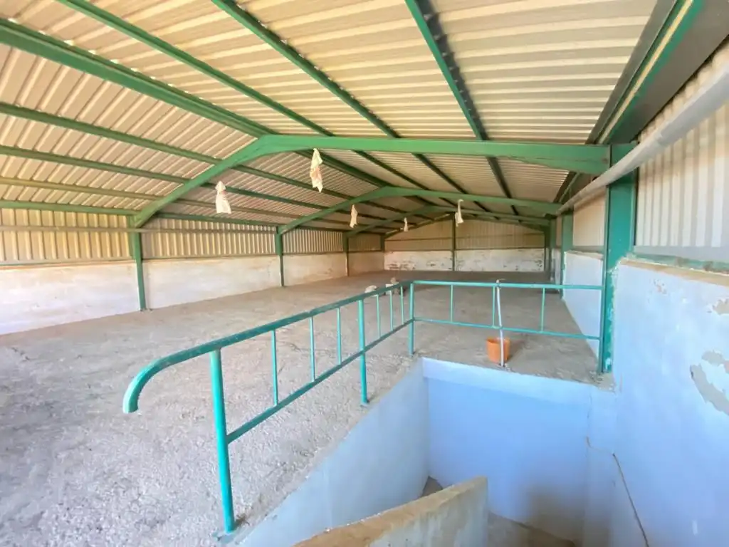 Nau industrial en venda a Dehesilla de Calamón - Campomanes, imagen 4