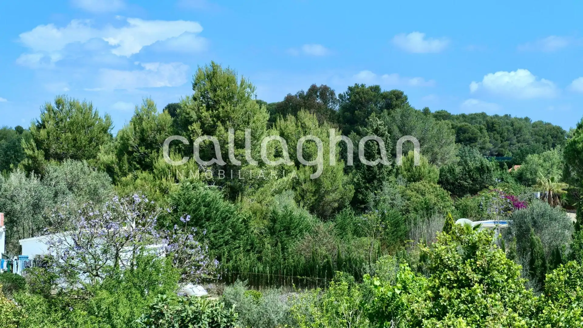 Detached house with terrace for sale in Carrer Del pi blanc, imagen 56
