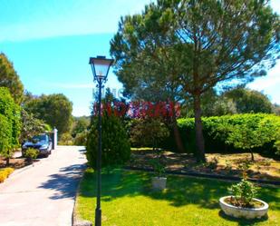 Jardí de Finca rústica en venda en Saucedilla