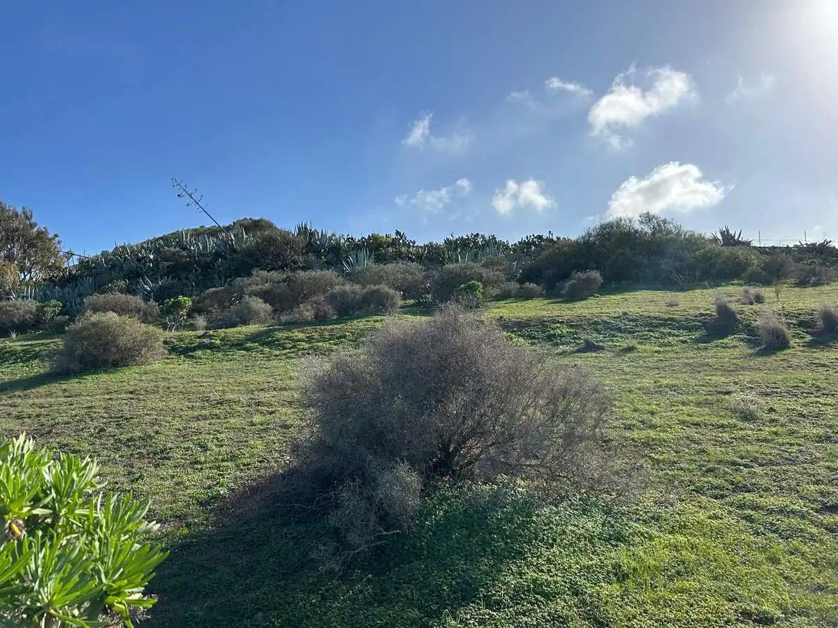 Rural land for sale in Caserones - La Higuera, imagen 13