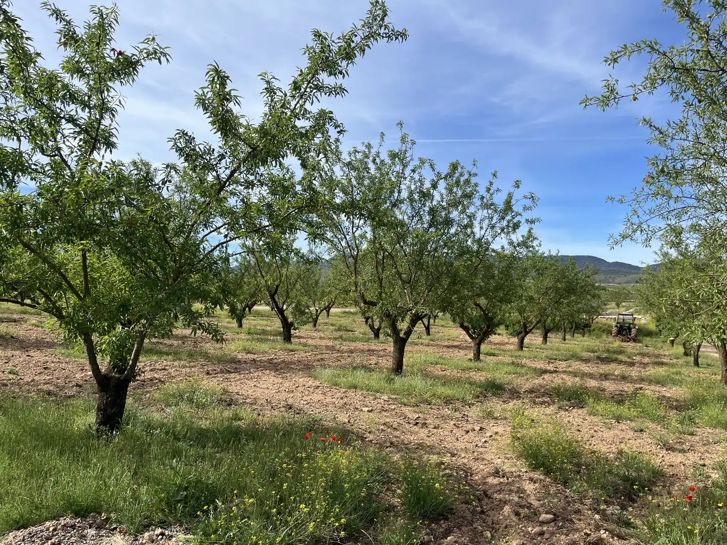 Rustikales Grundstück zum Verkauf in Avenida de Andalucía, imagen 4