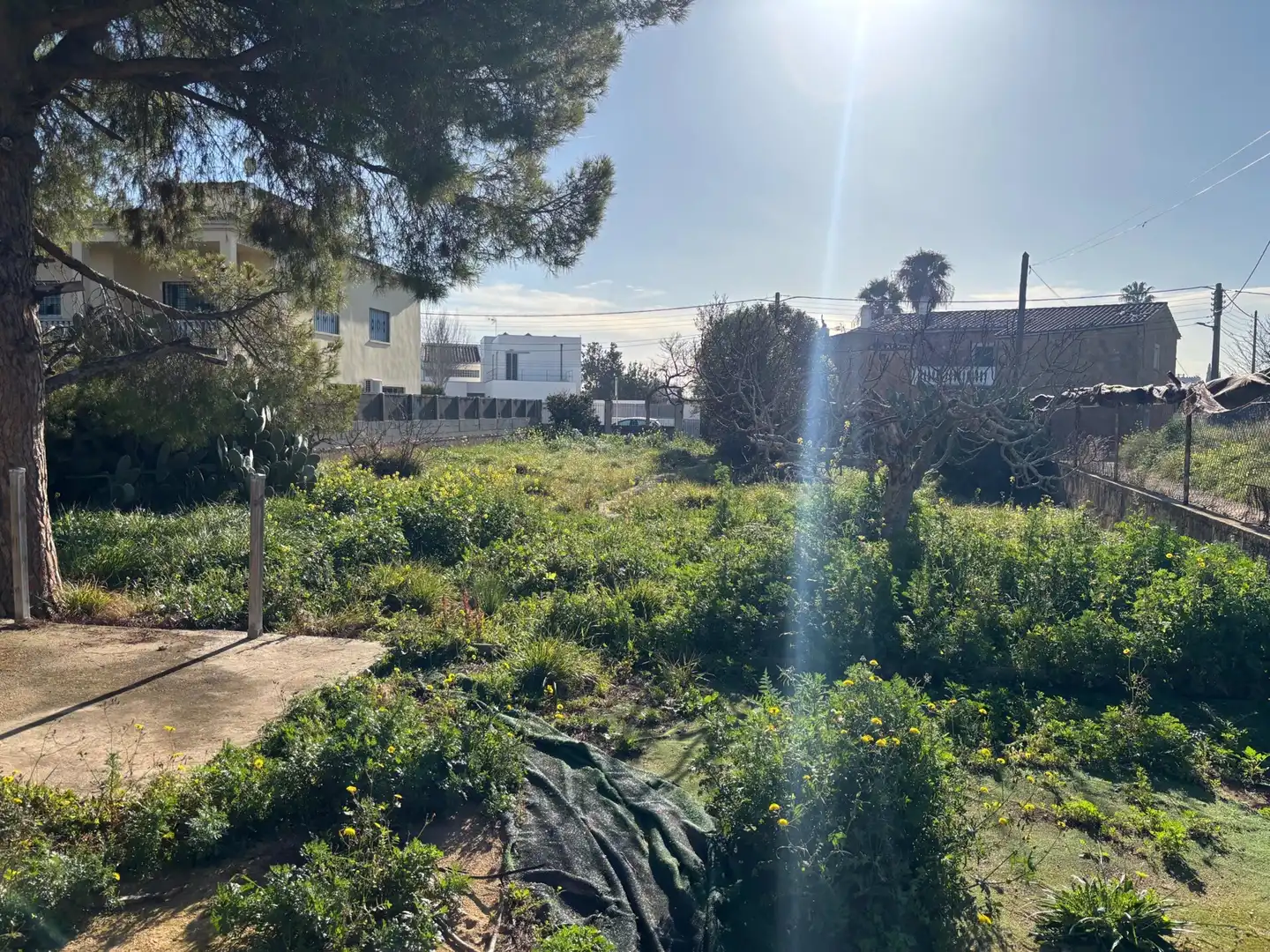 Residential zum Verkauf in  Palma de Mallorca
