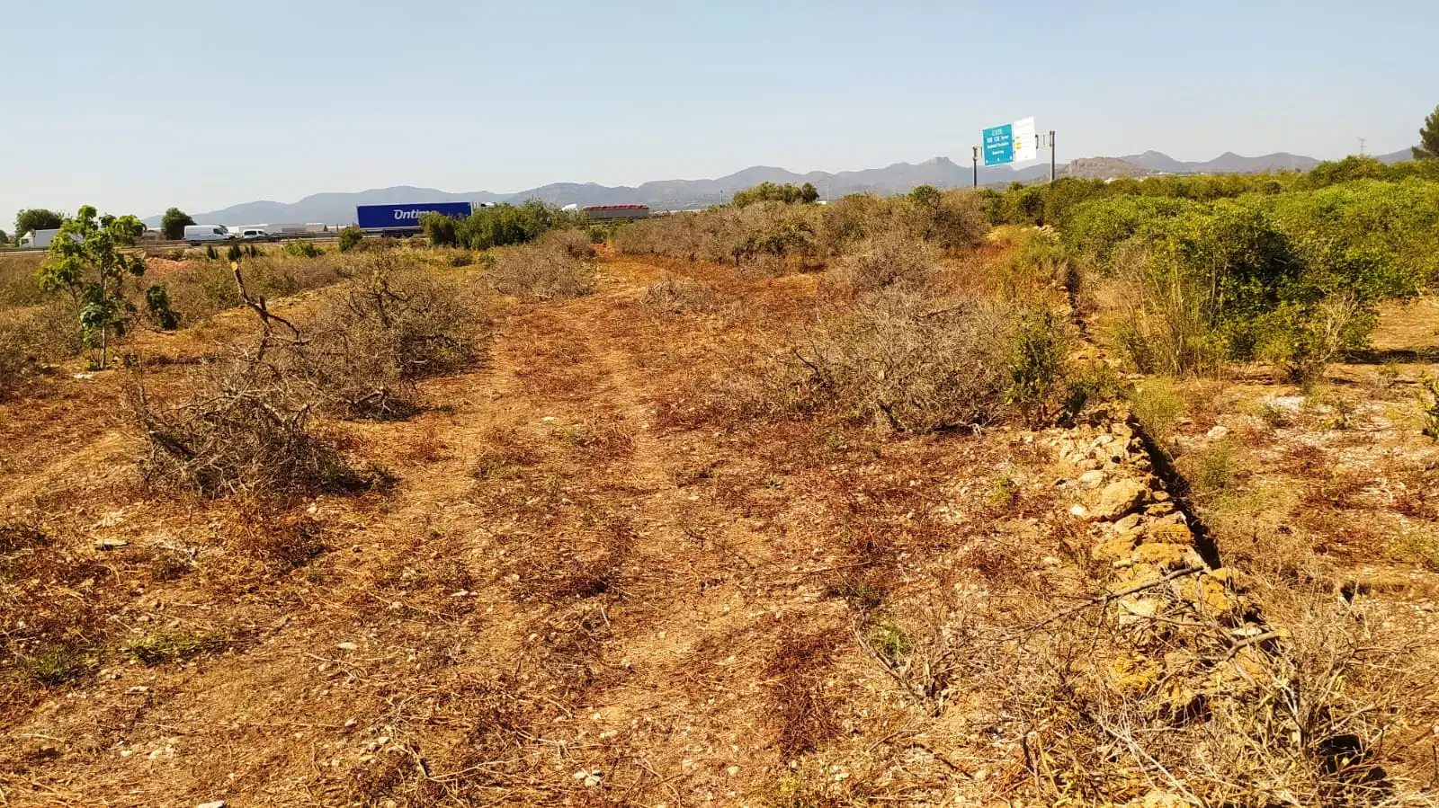 Terreno rustico in vendita a Moncada, imagen 5