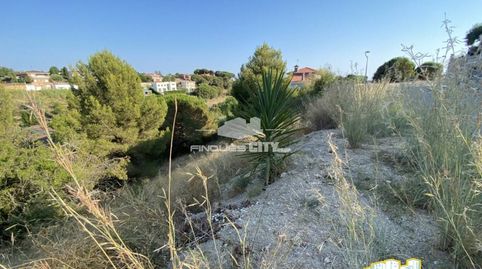 Parcela en Sant Quirze  Calella de Mar, immagine 4