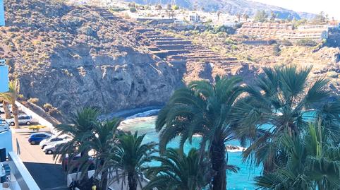 Foto 3 de Estudi de lloguer a Camino Burgado, 1, Longuera - Toscal, Santa Cruz de Tenerife