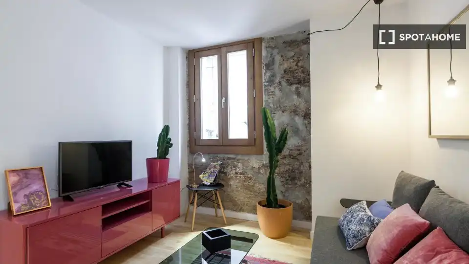 Flat with terrace to rent in Ciutat Vella, imagen 8