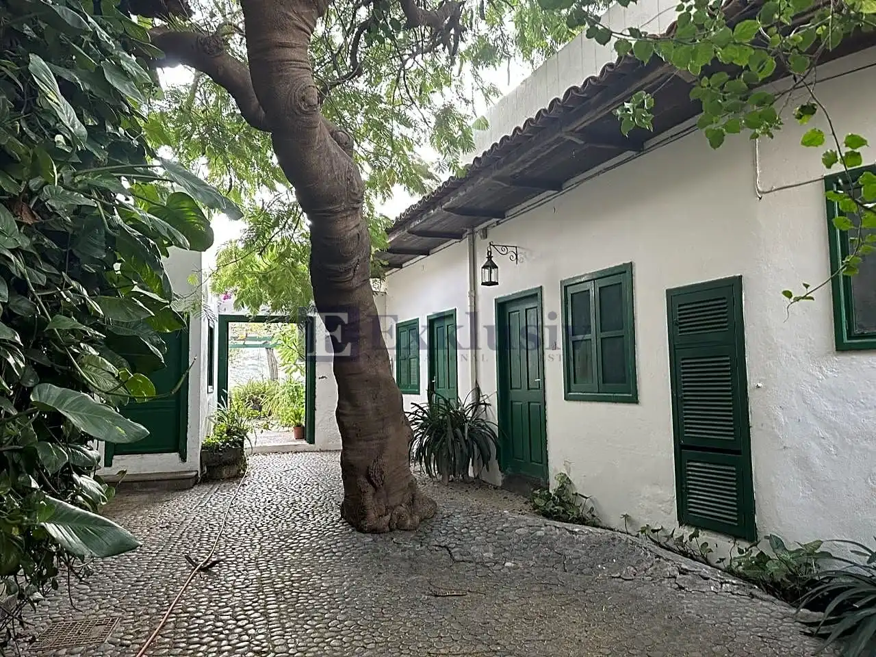 Vista exterior de Finca rústica en venta en Arico