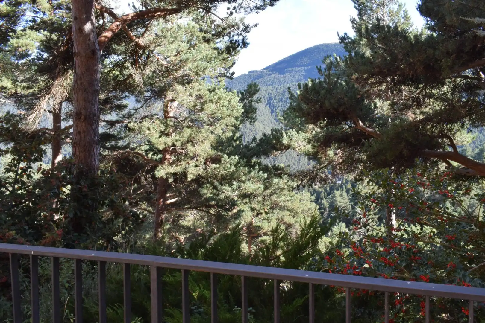 Jardín de Apartamento en venta en Alp con Aire acondicionado, Calefacción y Terraza