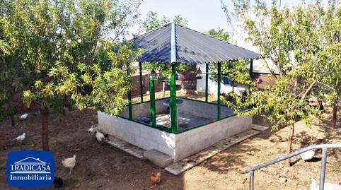 Photo 3 of Country house for sale in Pago San José - Princi - Jerez, Cádiz