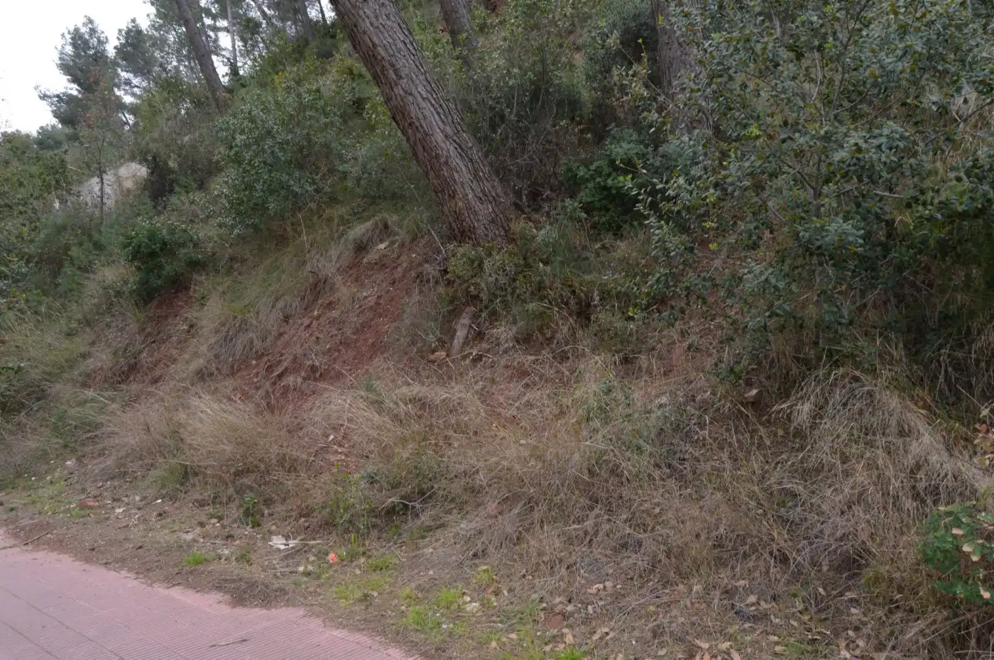 Wohnbaugrundstück zum Verkauf in Corbera de Llobregat, imagen 29