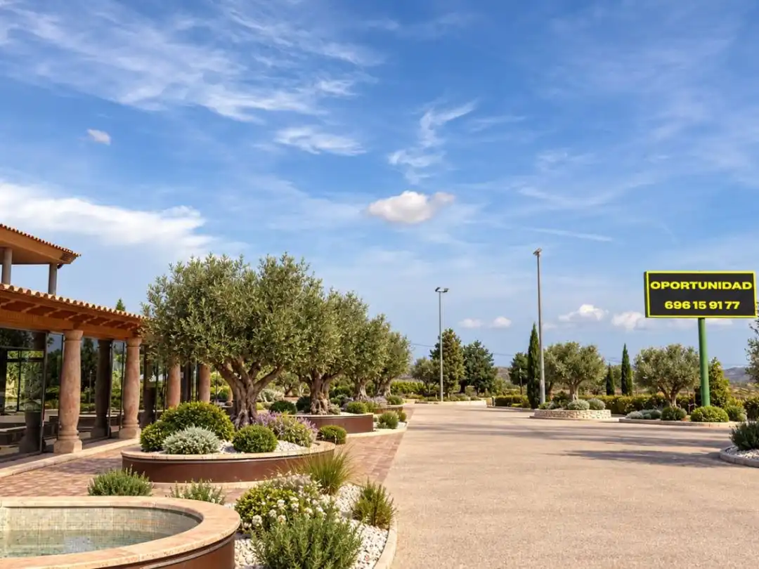 Terreno residencial en venta en Carretera de calasparra 3, imagen 2