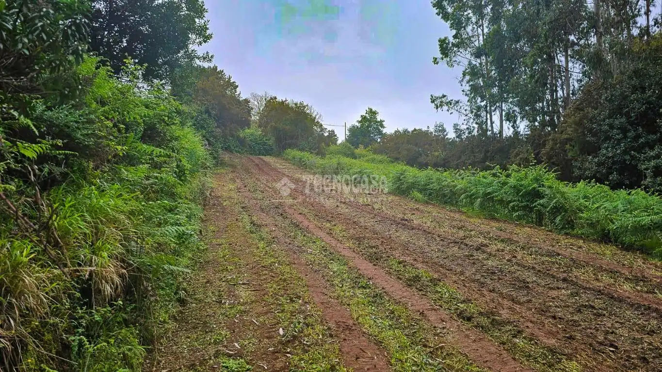 Land for sale in Tacoronte