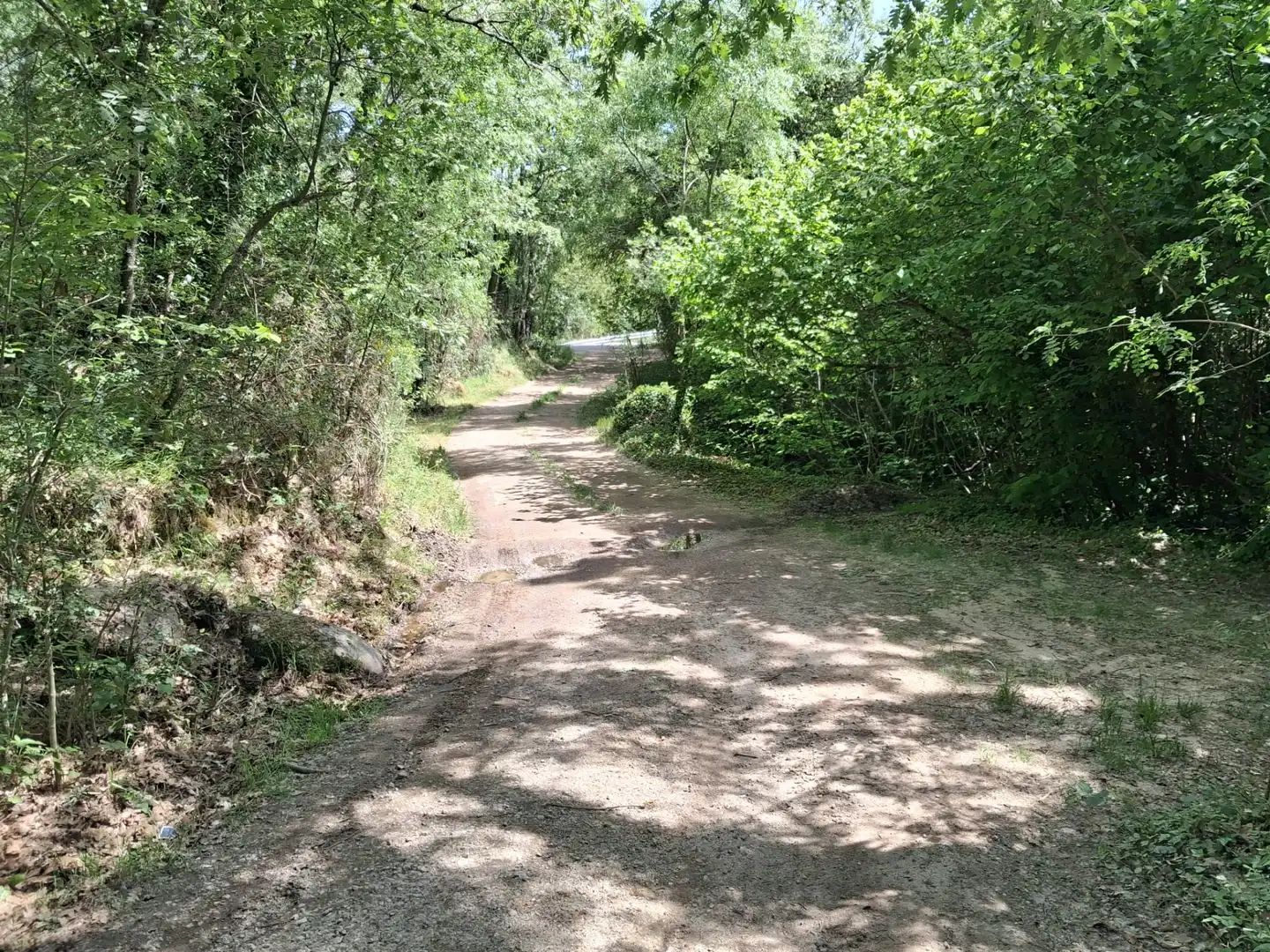 Rural land for sale in Calle del Concejo, imagen 17