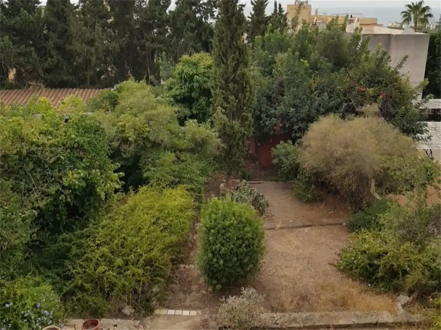 Jardín de Casa o chalet en venta en  Palma de Mallorca