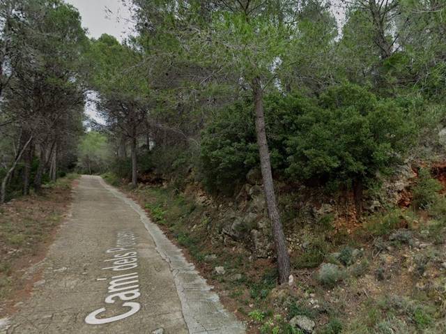 Terreno en Venta en Benigembla